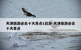 天津旅游必去十大景点1日游-天津旅游必去十大景点