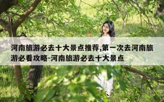 河南旅游必去十大景点推荐,第一次去河南旅游必看攻略-河南旅游必去十大景点