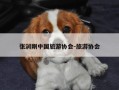 张润刚中国旅游协会-旅游协会
