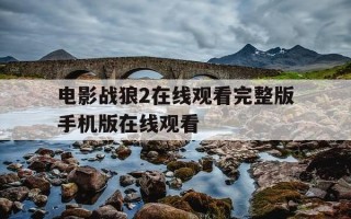 电影战狼2在线观看完整版手机版在线观看-电影战狼2免费播放