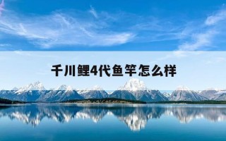 千川鲤4代鱼竿怎么样-