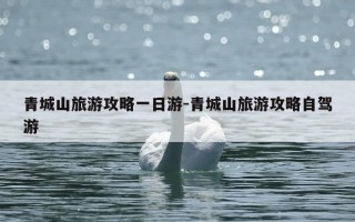 青城山旅游攻略一日游-青城山旅游攻略自驾游