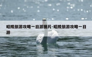 昭陵旅游攻略一日游图片-昭陵旅游攻略一日游