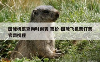 国际机票查询时刻表 票价-国际飞机票订票官网携程