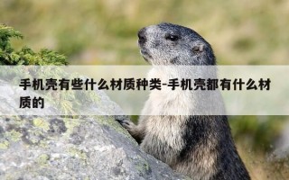 手机壳有些什么材质种类-手机壳都有什么材质的