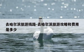 去哈尔滨旅游线路-去哈尔滨旅游攻略和费用是多少