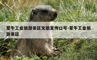 蒙牛工业旅游景区文旅宣传口号-蒙牛工业旅游景区