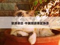 旅游景区-中国旅游景区协会