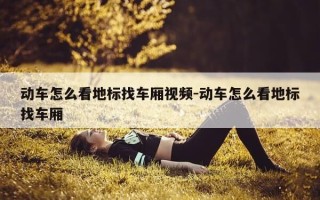 动车怎么看地标找车厢视频-动车怎么看地标找车厢