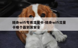 随身wifi专用流量卡-随身wifi流量卡哪个最划算安全