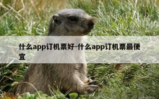 什么app订机票好-什么app订机票最便宜