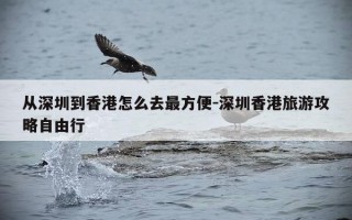 从深圳到香港怎么去最方便-深圳香港旅游攻略自由行