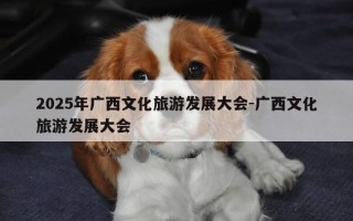 2025年广西文化旅游发展大会-广西文化旅游发展大会