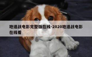 地道战电影完整版在线-2020地道战电影在线看