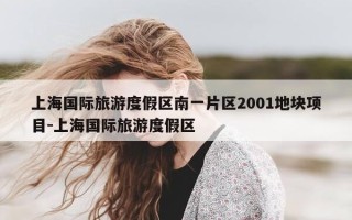 上海国际旅游度假区南一片区2001地块项目-上海国际旅游度假区