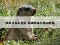 泰国甲米安全吗-泰国甲米岛旅游攻略
