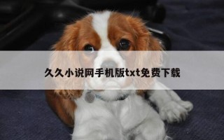 久久小说网手机版txt免费下载