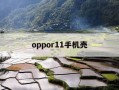 oppor11手机壳-Oppor11手机壳30元