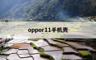oppor11手机壳-Oppor11手机壳30元
