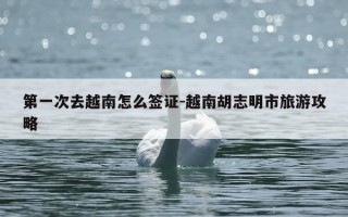 第一次去越南怎么签证-越南胡志明市旅游攻略