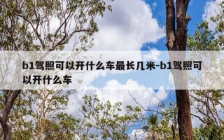 b1驾照可以开什么车最长几米-b1驾照可以开什么车