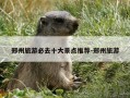 郑州旅游必去十大景点推荐-郑州旅游