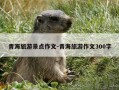 青海旅游景点作文-青海旅游作文300字