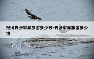 报团去张家界旅游多少钱-去张家界旅游多少钱