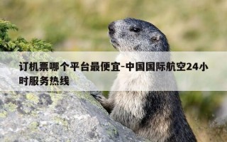 订机票哪个平台最便宜-中国国际航空24小时服务热线