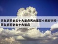 天台旅游必去十大景点天台莲花小镇好玩吗-天台旅游必去十大景点