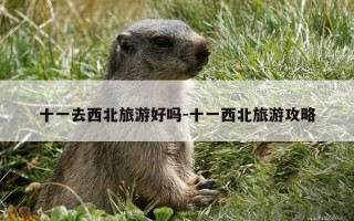 十一去西北旅游好吗-十一西北旅游攻略