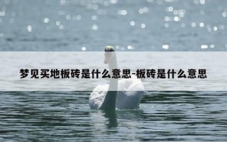 梦见买地板砖是什么意思-板砖是什么意思
