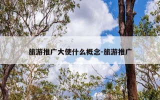 旅游推广大使什么概念-旅游推广