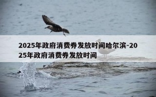 2025年政府消费券发放时间哈尔滨-2025年政府消费券发放时间