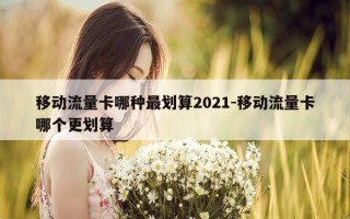 移动流量卡哪种最划算2021-移动流量卡哪个更划算