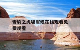 雪豹之虎啸军魂在线观看免费观看-雪豹之虎啸军魂在线观看电视剧