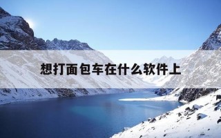 想打面包车在什么软件上-有没有打面包车的软件