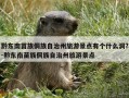 黔东南苗族侗族自治州旅游景点有个什么洞?-黔东南苗族侗族自治州旅游景点