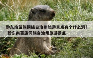 黔东南苗族侗族自治州旅游景点有个什么洞?-黔东南苗族侗族自治州旅游景点