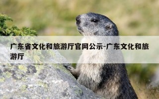 广东省文化和旅游厅官网公示-广东文化和旅游厅