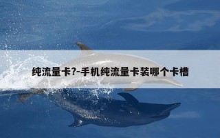 纯流量卡?-手机纯流量卡装哪个卡槽