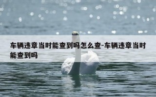 车辆违章当时能查到吗怎么查-车辆违章当时能查到吗
