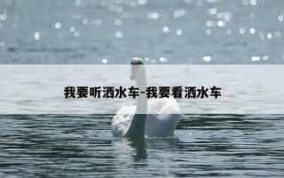 我要听洒水车-我要看洒水车