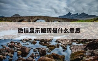 微信显示搬砖是什么意思-微信显示搬砖是什么意思啊