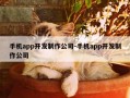 手机app开发制作公司-手机app开发制作公司