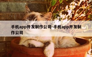 手机app开发制作公司-手机app开发制作公司