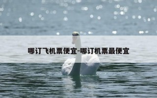 哪订飞机票便宜-哪订机票最便宜