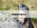 手机游戏下载大全