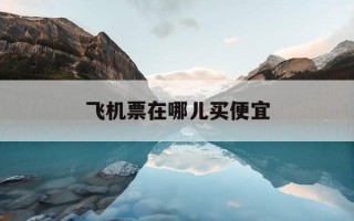 飞机票在哪儿买便宜-飞机票在哪儿买便宜?
