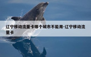 辽宁移动流量卡哪个城市不能用-辽宁移动流量卡